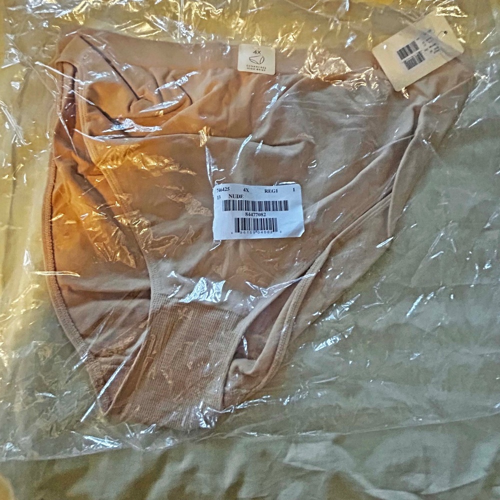 HIGH CUT BRIEFS, NYLON SPANDEX, NUDE SIZE 4X, SEAMLESS, DéESSE COLLECTION
